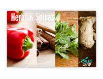 The Herbs and Spices guide